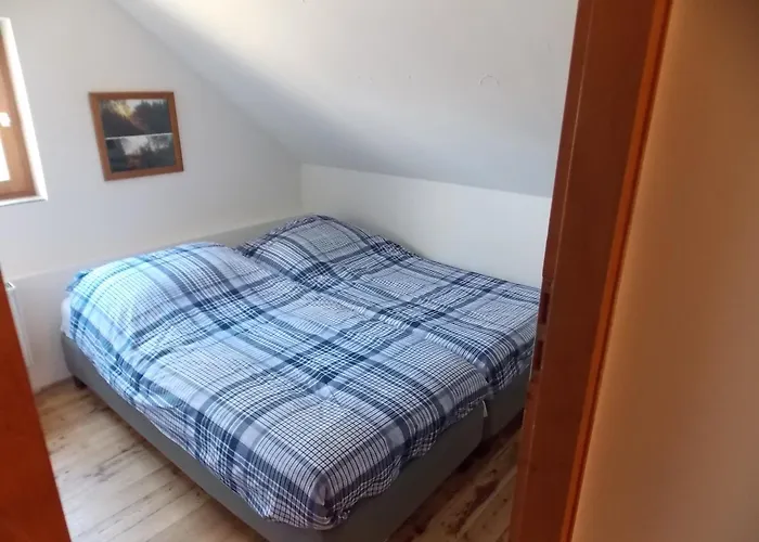 Carpedieme 3*
